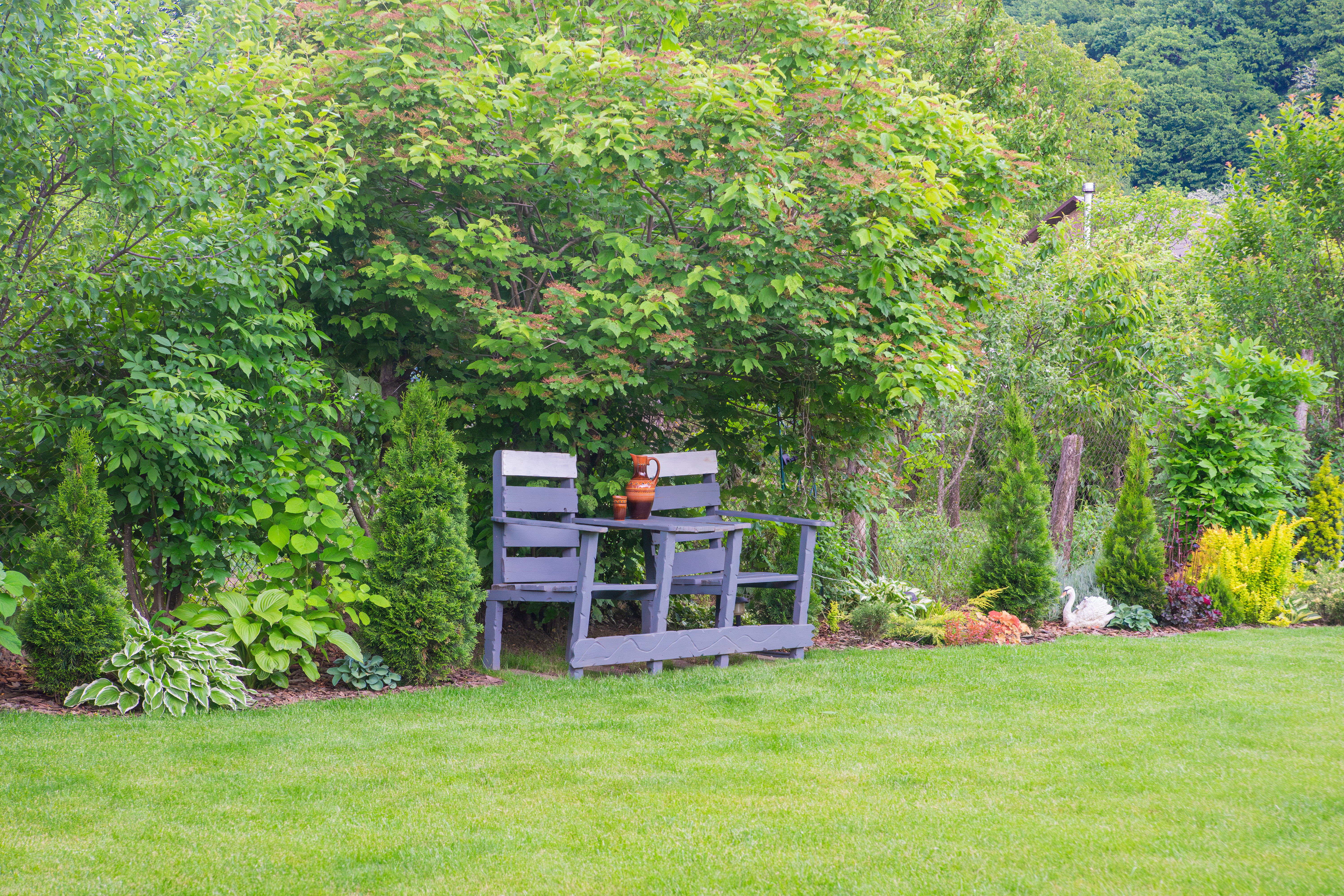 Территория